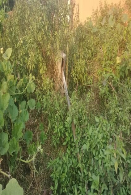 इंडिया मार्का हैंडपंप के मरम्मत व रिबोर के नाम पर सरकारी धन का बंदरबाट 3 IMG 20211113 164404
