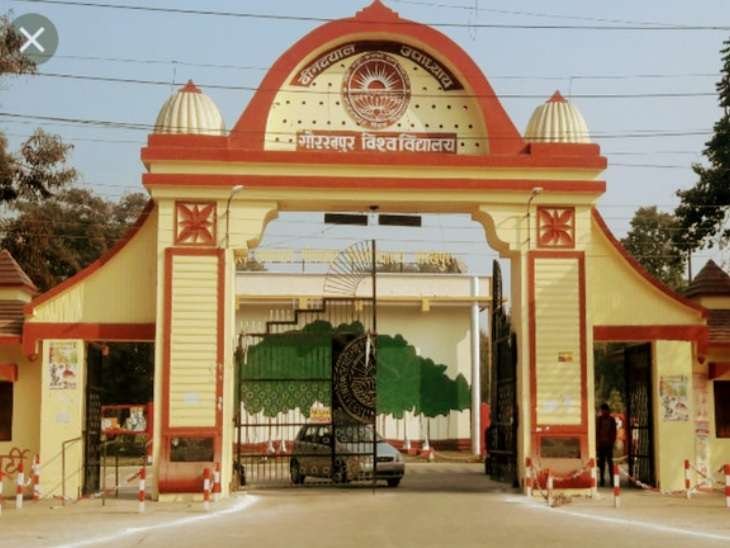 DDU university