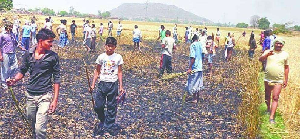 अयोध्या - शॉर्ट सर्किट से लगी आग 20 बीघे गेहूं की खड़ी फसल जलकर हुई राख 1 IMG 20220405 WA0001