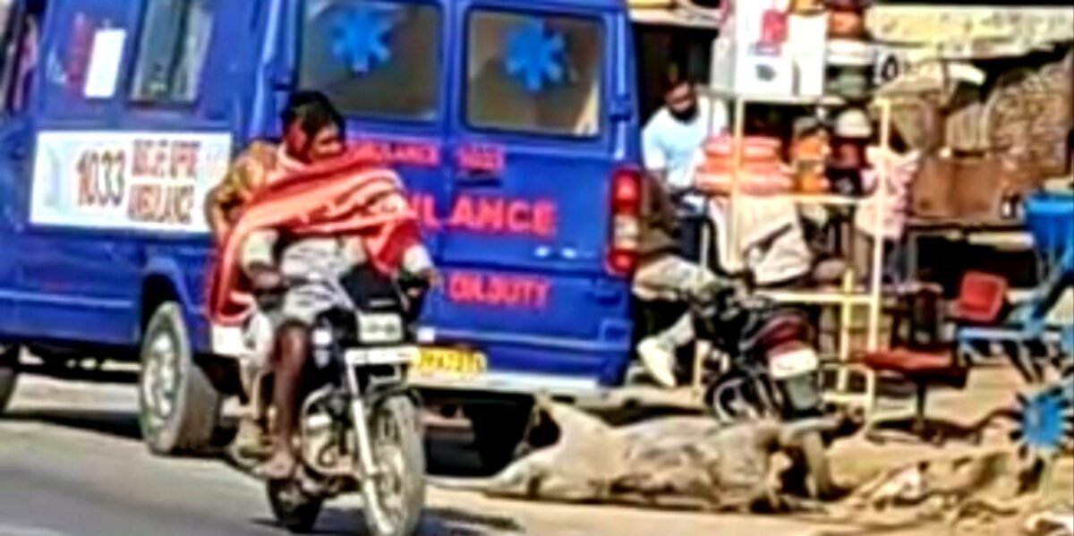 मृतक सूअरो काम आती एनएचआई की एम्बुलेंस जबकि दुर्घटनाग्रस्त मरीज करते इन्तज़ार 2 9e9e21cc 4eac 4a42 b36c a01b825fbd2f