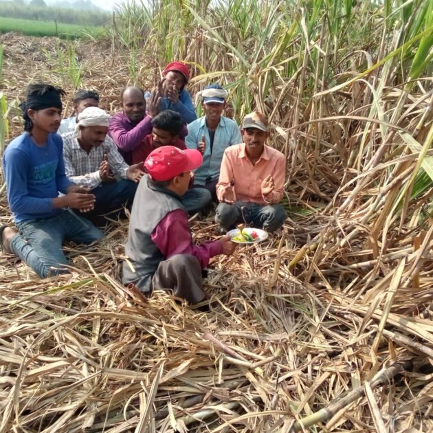ब्रेकिंग न्यूज़ : सपा के दिव्यांग नेता ने खेत में गन्ना की उतारी आरती 2 WhatsApp Image 2023 02 19 at 7.24.51 PM