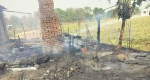 WhatsApp Image 2025 04 07 at 3.45.45 PM
