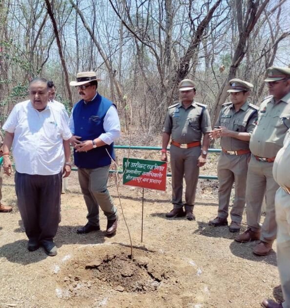 मीरजापुर में वृक्षारोपण समीक्षा बैठक के दौरान प्रधान मुख्य वन संरक्षक