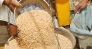 बलिया में नि:शुल्क राशन वितरण की तैयारी करते अधिकारी