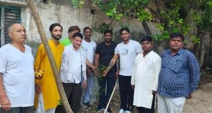 फरीदाबाद में सांसे फाउंडेशन द्वारा योग दिवस पर पौधारोपण करते लोग