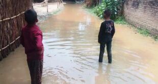 रामपुर जनक गांव में जलभराव से परेशान ग्रामीण