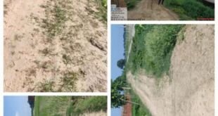महराजगंज में फर्जी मजदूर हाजिरी और मिट्टी कार्य की अनियमितता की जांच