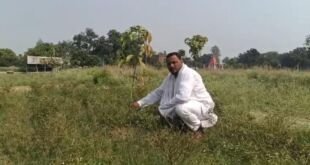 पत्रकार मुदस्सिर हुसैन जन्मदिन पर पौधारोपण करते हुए