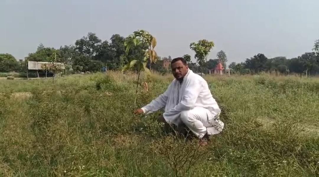 पत्रकार मुदस्सिर हुसैन जन्मदिन पर पौधारोपण करते हुए