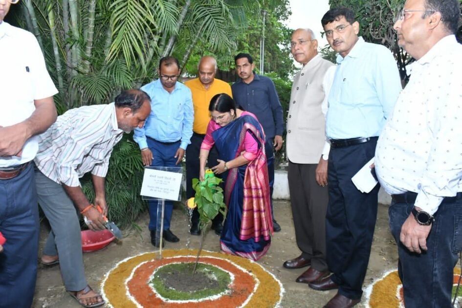 शिक्षा मंत्री रजनी तिवारी और कुलपति अवध विश्वविद्यालय में सिंदूर पौधा लगाते हुए