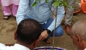बलिया में जनपद न्यायाधीश द्वारा वृक्षारोपण करते हुए