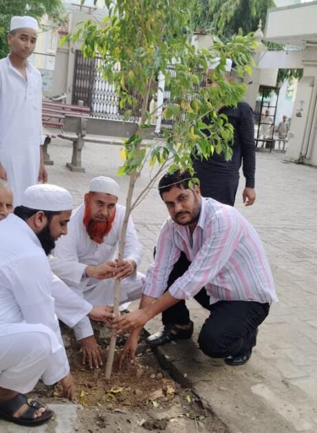 फरीदाबाद में जमियत ए उलेमा द्वारा चलाया गया पौधारोपण अभियान फरीदाबाद में जमियत ए उलेमा द्वारा चलाया गया पौधारोपण अभियान