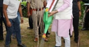 मुख्यमंत्री नायब सिंह सैनी फरीदाबाद में पौधारोपण करते हुए