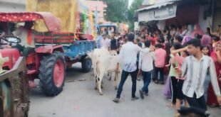 भीनमाल शोभायात्रा में प्रशासन की लापरवाही और आवारा पशुओं से मची अफरा-तफरी