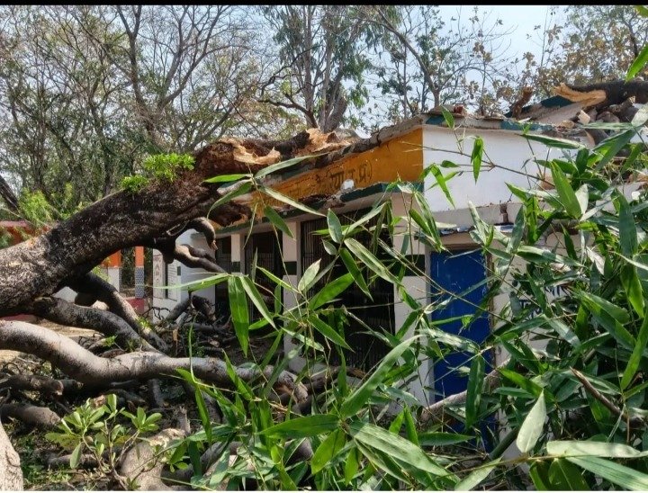 देवरिया - प्राथमिक विद्यालय पर पेड़ की डाली गिरी, बड़ा हादसा टला 1 IMG 20260422 WA0010