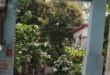 देवरिया - खुखुंदू में दो लाख रुपये जमा कराने का लालच देकर ठगी, 20 हजार रुपये लेकर फरार हुए ठग 35 Screenshot 2026 09 16 21 30 51 44 680d03679600f7af0b4c700c6b270fe7