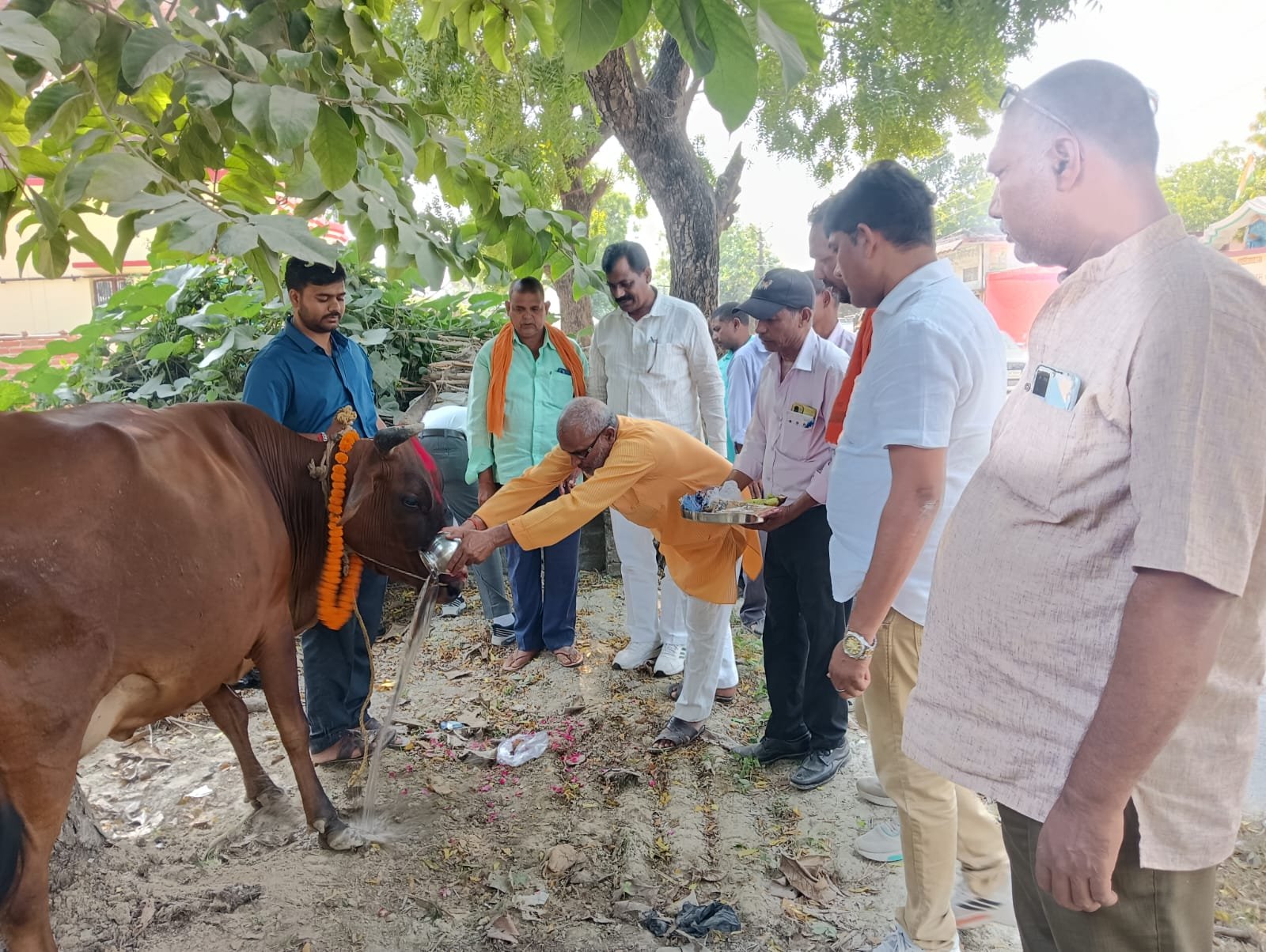 पशु आरोग्य मेला शिविर में 135 पशुओं का उपचार, 67 बकरियों को कराया गया सामूहिक दवापान 2 IMG 20261024 WA0012
